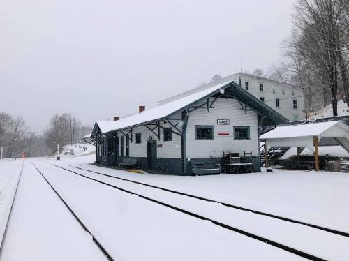 A snow-covered train station with tracks leading into the distance, surrounded by trees and a cloudy sky.
