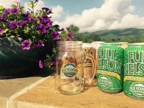 A mason jar and cans of Full Nelson beer beside a pot of purple flowers against a scenic mountain backdrop.