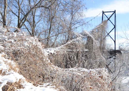 A snow-covered landscape featuring a dilapidated bridge entwined with vines and surrounded by bare trees.