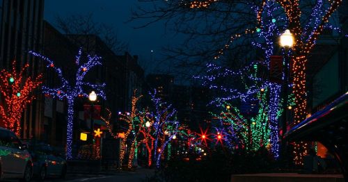 Colorful holiday lights adorn trees along a city street at night, creating a festive atmosphere.
