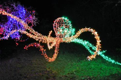 A colorful light display of an octopus with glowing tentacles, set against a dark background.