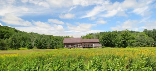 A rustic wooden house surrounded by lush green fields and trees under a bright blue sky with fluffy clouds.