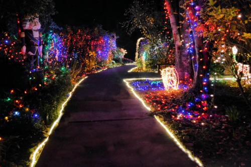 A winding path illuminated by colorful holiday lights, surrounded by trees and festive decorations at night.