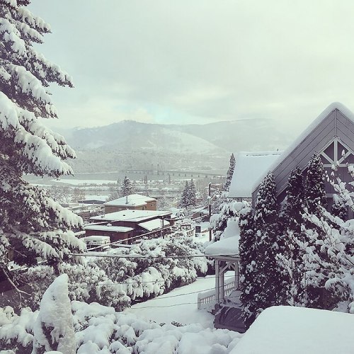 A snowy landscape featuring a house, trees, and distant mountains under a cloudy sky.