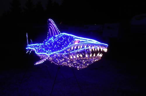 A large shark sculpture illuminated with blue and white lights, set against a dark background.