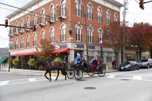 A horse-drawn carriage passes by a historic brick building with large windows and autumn foliage. Traffic lights are visible.