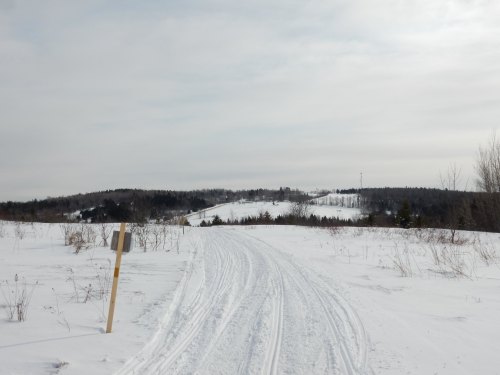 A snowy landscape with a winding path leading through fields and hills under a cloudy sky.