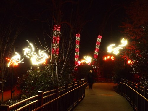 A pathway illuminated by colorful lights on trees, creating a festive atmosphere at night.