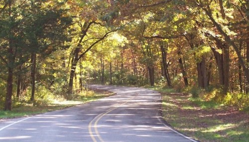A winding road surrounded by trees with vibrant autumn foliage.