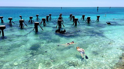 Two people snorkeling in clear turquoise water near wooden pilings, with a bright blue sky above.