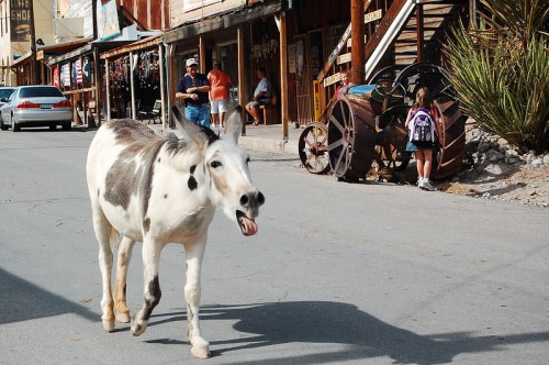 A white and brown horse walks down a street with shops, while a child with a backpack stands nearby.