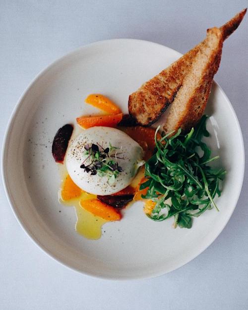 A plate featuring a creamy burrata, citrus segments, arugula, and toasted bread, garnished with microgreens.