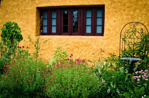 A vibrant garden filled with colorful flowers in front of a textured yellow wall and a window with brown frames.