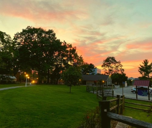 A serene landscape at sunset, featuring trees, a grassy area, and a colorful sky with pink and orange hues.