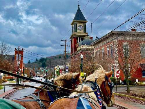 A horse-drawn carriage in a town square, with a clock tower and cloudy sky in the background.