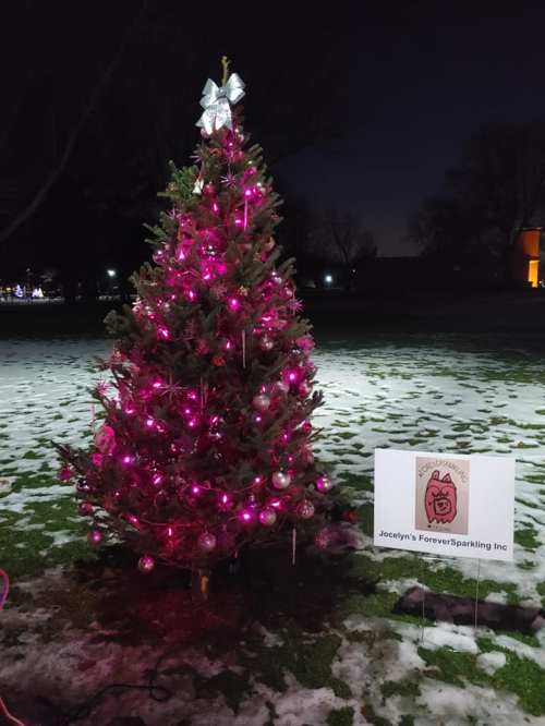 A decorated Christmas tree with pink lights stands on snow-covered ground, next to a sign for "Joseph's Forever Sparkling Inc."