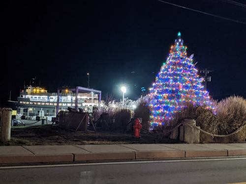 A brightly lit Christmas tree adorned with colorful lights stands near a ferry terminal at night.