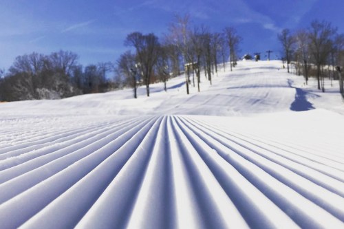 Freshly groomed snow trails lead up a sunny ski slope, surrounded by bare trees and a clear blue sky.
