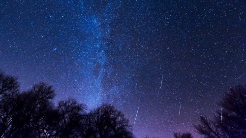 A starry night sky filled with stars and a visible Milky Way, framed by silhouetted trees below.