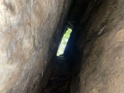 A narrow rock crevice with a glimpse of greenery at the end, illuminated by natural light.