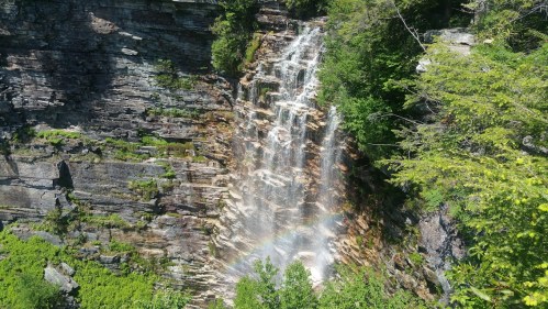 A cascading waterfall surrounded by lush greenery, with a rainbow forming in the mist at the base.