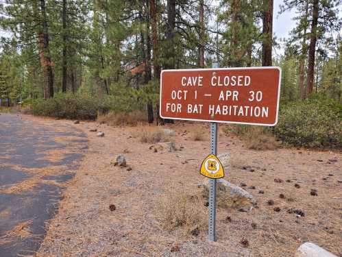 Sign indicating cave closure from October 1 to April 30 for bat habitation, surrounded by trees and pine needles.