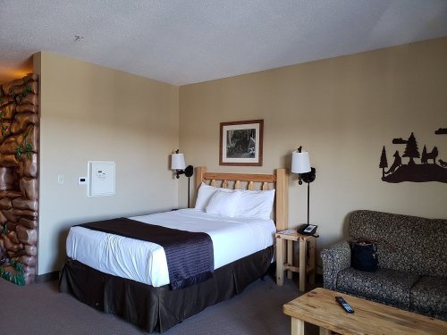 A cozy hotel room featuring a queen bed, a sofa, wooden furniture, and nature-themed decor on the walls.