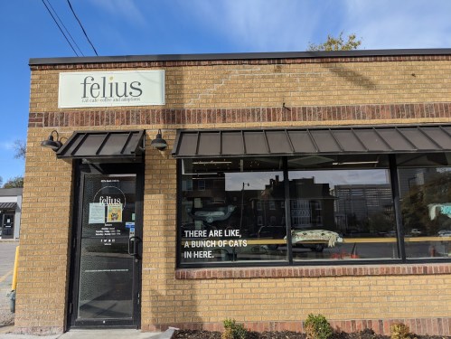 A brick storefront with a sign reading "felius" and a window displaying a playful message about cats inside.