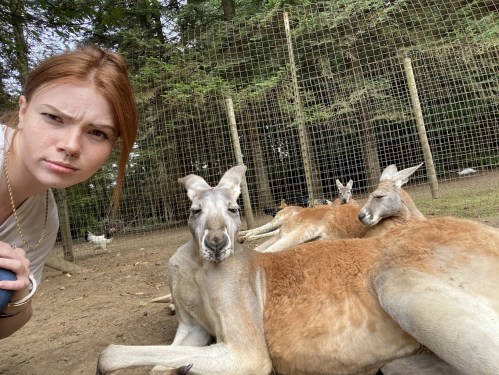A person takes a selfie with resting kangaroos in a fenced area surrounded by trees.