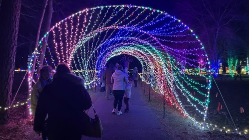 A colorful light tunnel with people walking through it, surrounded by festive decorations in a park at night.