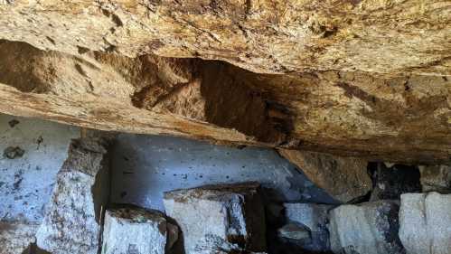 Interior of a cave with large, uneven rock formations and a textured ceiling. Natural light illuminates the space.