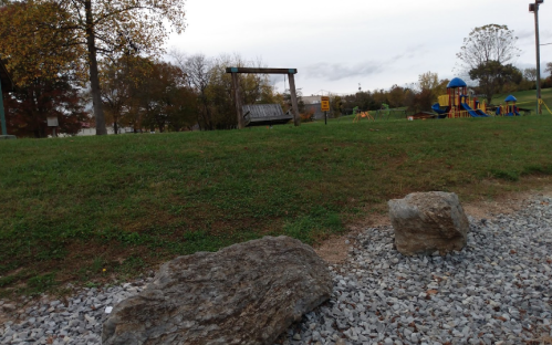 A grassy park scene featuring a swing set and playground equipment in the background, with rocks in the foreground.