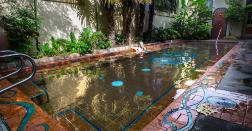 A serene pool surrounded by lush greenery and decorative tiles, reflecting the vibrant colors of the environment.