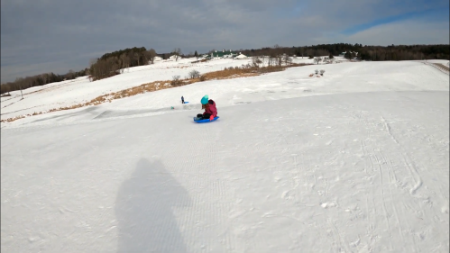 A child sledding down a snowy hill, with a winter landscape and trees in the background.