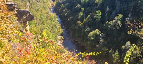 A scenic view of a river winding through a lush, green valley surrounded by colorful autumn foliage.