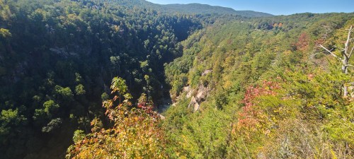 A scenic view of a lush green canyon with colorful autumn foliage and a river winding through the valley below.