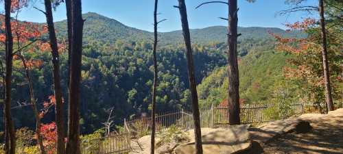 A scenic view of mountains and valleys, framed by tall trees with hints of autumn colors under a clear blue sky.