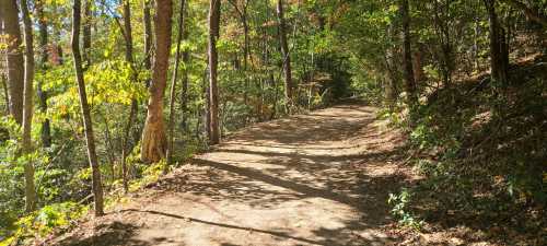 A winding dirt path through a lush, green forest with sunlight filtering through the trees.