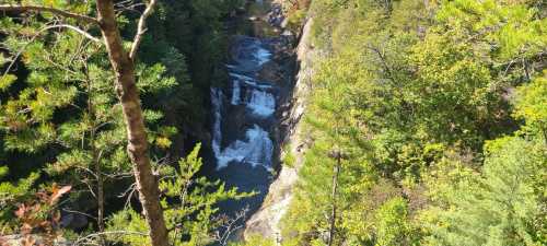 A scenic view of a waterfall cascading down rocky cliffs, surrounded by lush green trees and foliage.