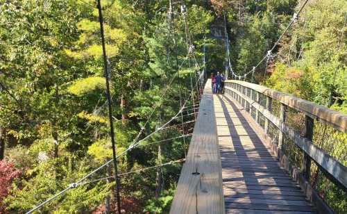 A wooden suspension bridge surrounded by vibrant trees, with people walking across it in a scenic outdoor setting.