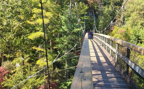A wooden suspension bridge surrounded by vibrant trees, with people walking across it in a scenic outdoor setting.
