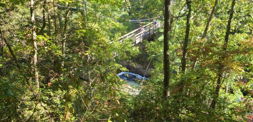 A wooden bridge spans a creek, surrounded by lush green trees and foliage in a serene natural setting.