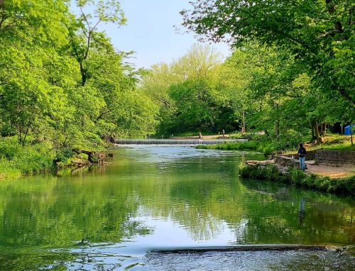 A serene river surrounded by lush green trees, reflecting the landscape, with a person sitting by the water's edge.