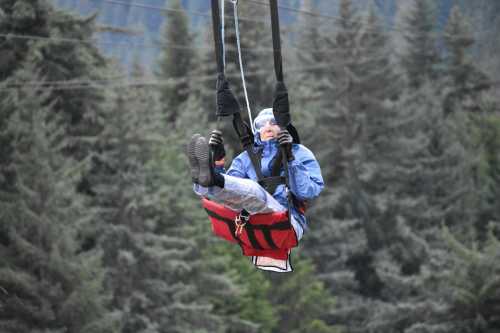 A person in a blue jacket is zip-lining through a forested area, suspended in a harness above the trees.