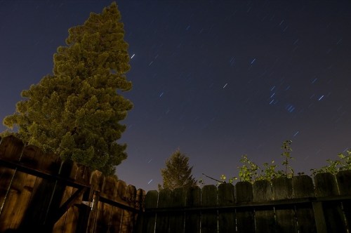 A night sky with star trails above a tall tree and a wooden fence, creating a serene outdoor scene.