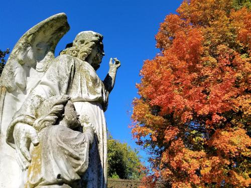 A weathered angel statue stands beside a vibrant orange and red autumn tree against a clear blue sky.