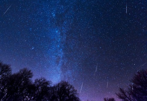 A starry night sky filled with bright stars and shooting meteors, silhouetted by dark tree branches below.