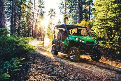 Two green all-terrain vehicles drive through a sunlit forest trail, surrounded by tall trees and dust.
