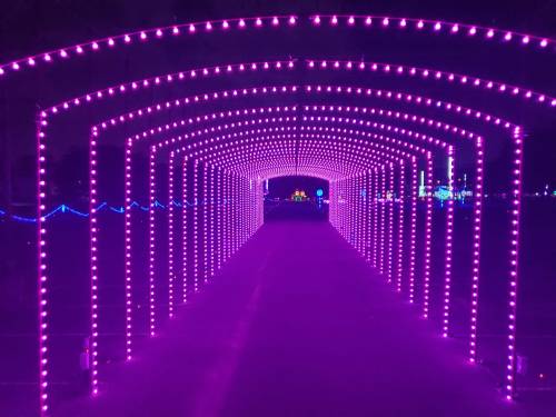 A vibrant tunnel illuminated with purple lights, creating a captivating and colorful pathway.