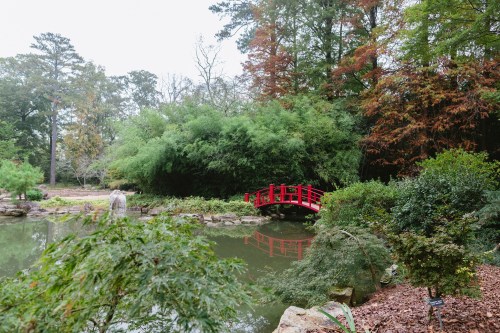 A serene garden scene featuring a red bridge over a pond, surrounded by lush greenery and autumn-colored trees.
